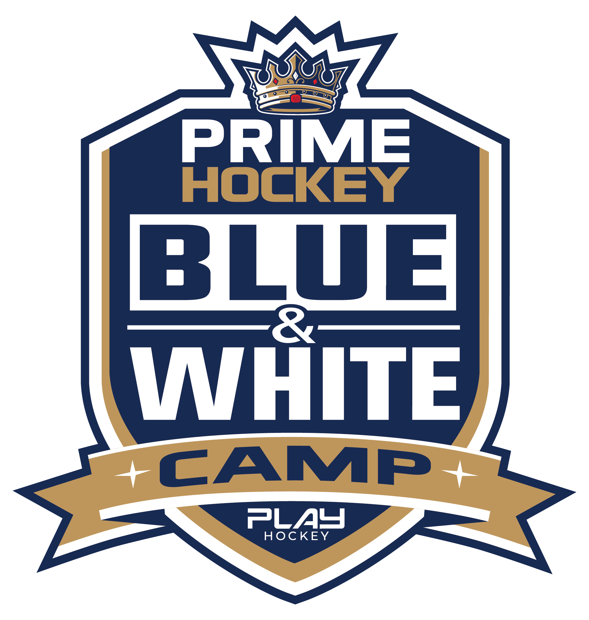 BLUE & WHITE CAMP logo