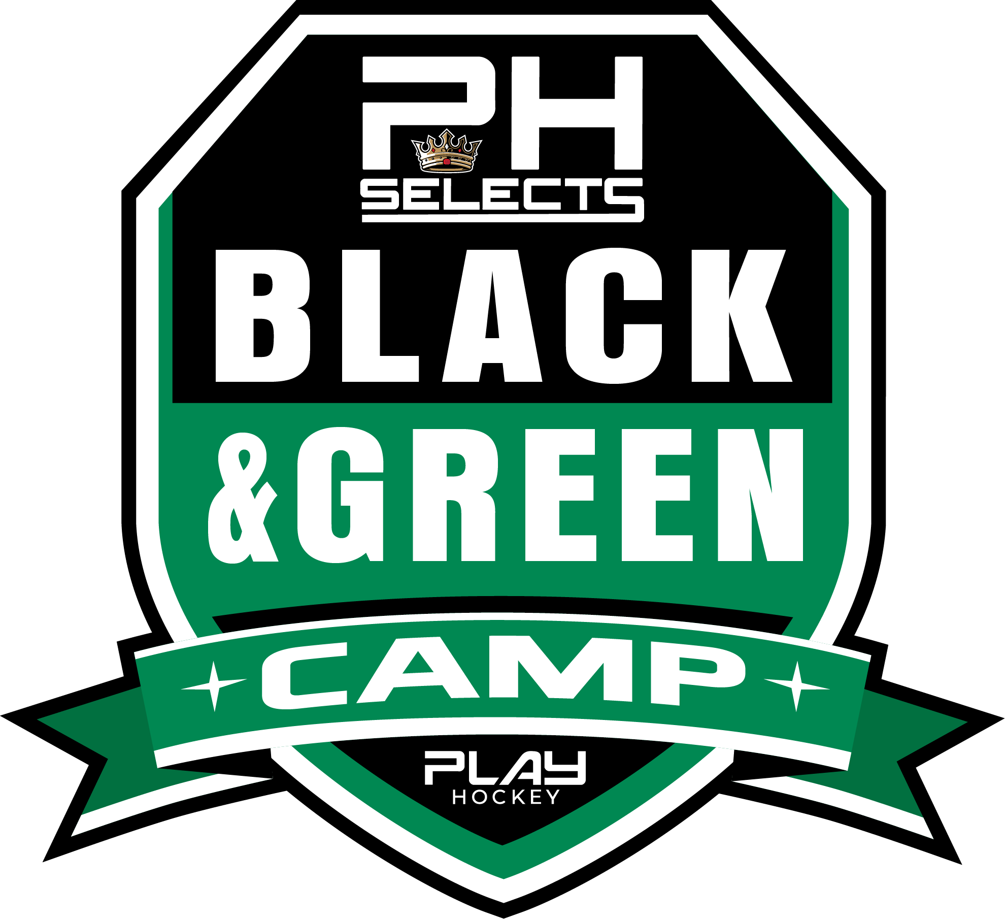 Black & Green Development Camp logo